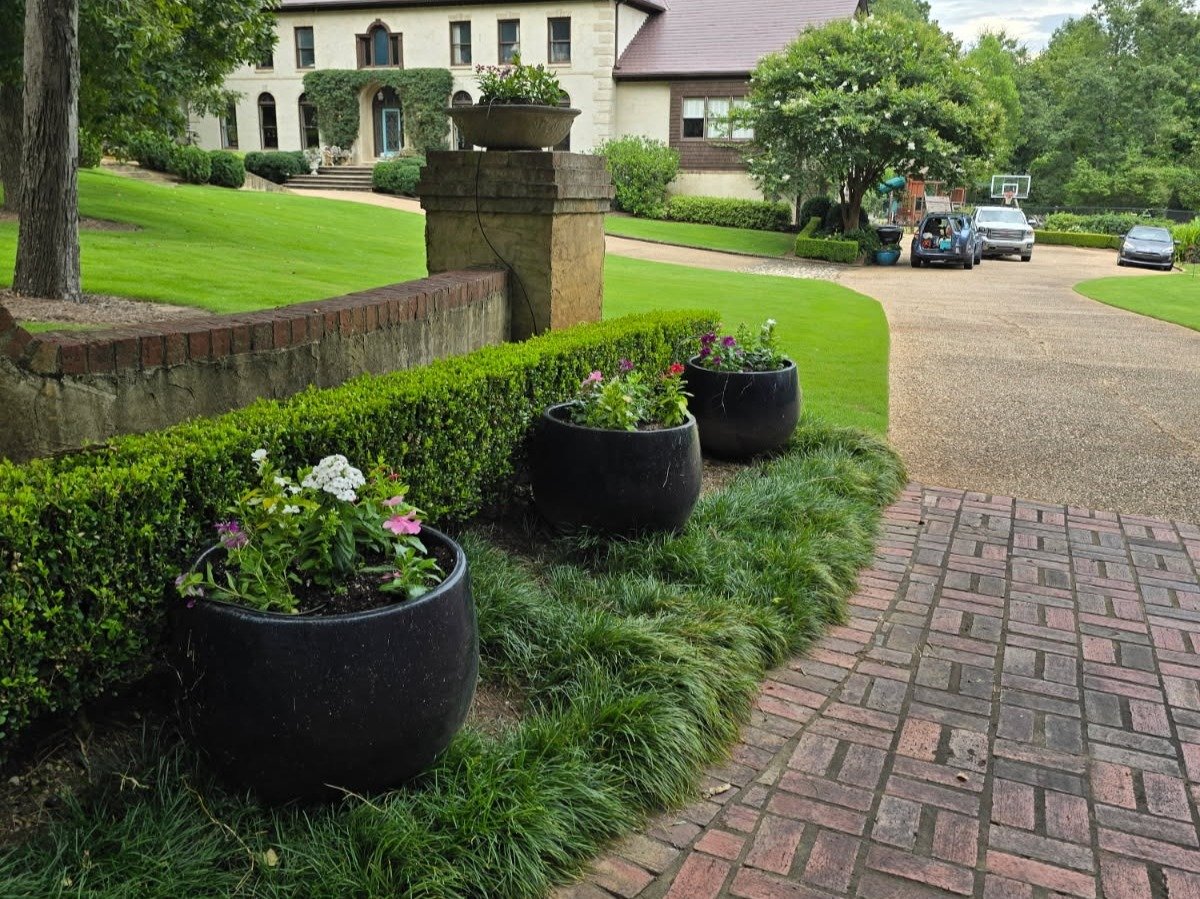 Romero Landscaping